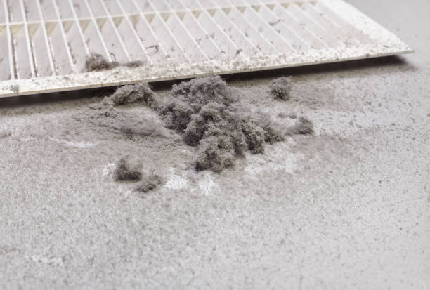 Best HVAC Air Duct Cleaning  in Bear Valley Springs, CA