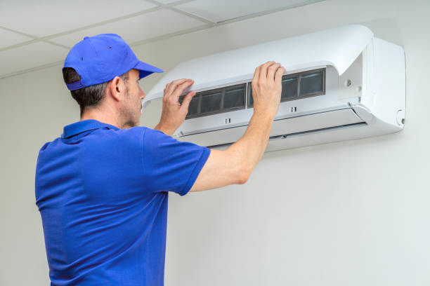Best Affordable Air Duct Cleaning  in Bear Valley Springs, CA