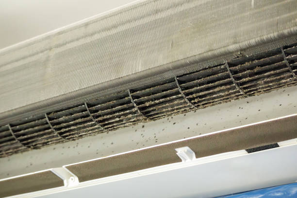 Best Local Air Duct Cleaning Services  in Bear Valley Springs, CA